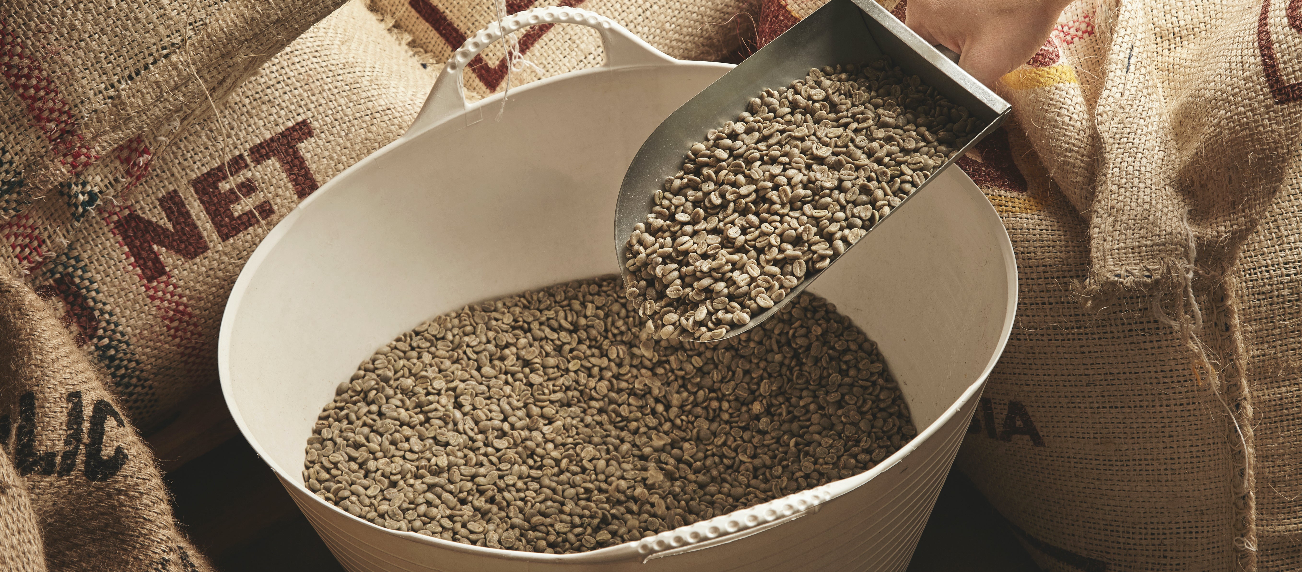 Cocolo Coffee – Cocolo Caffè